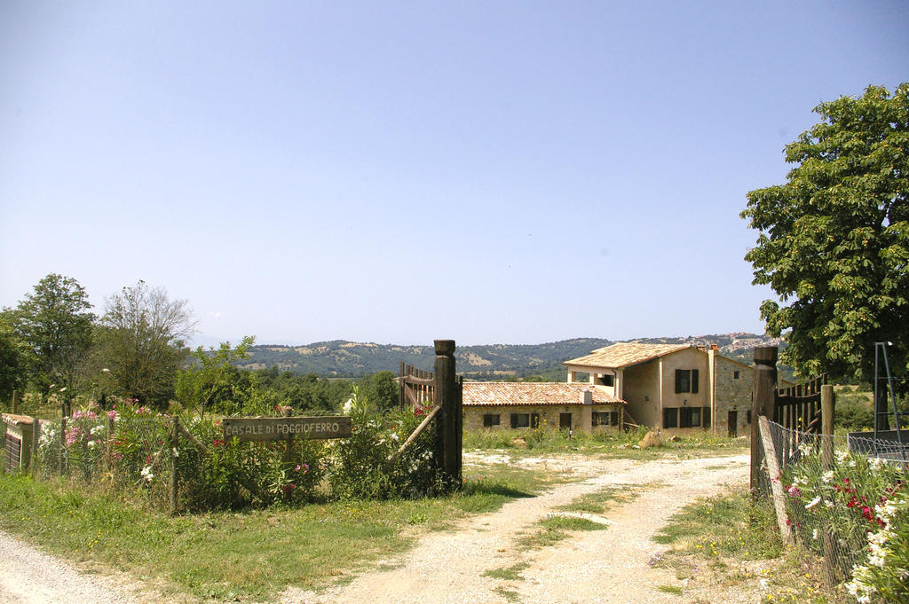 B&B Casale Di Poggioferro Scansano Εξωτερικό φωτογραφία
